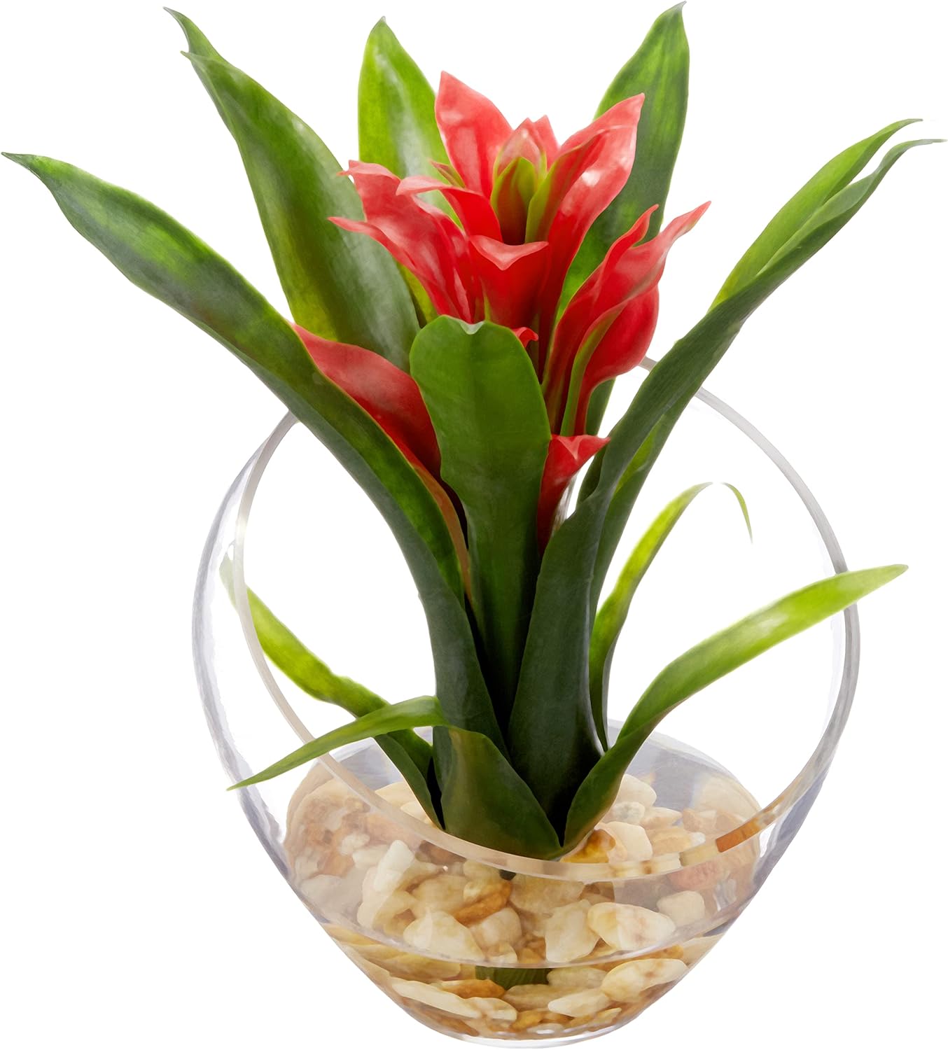 Nearly Natural 1535-RD Tropical Bromeliad in Angled Vase, 8, Red