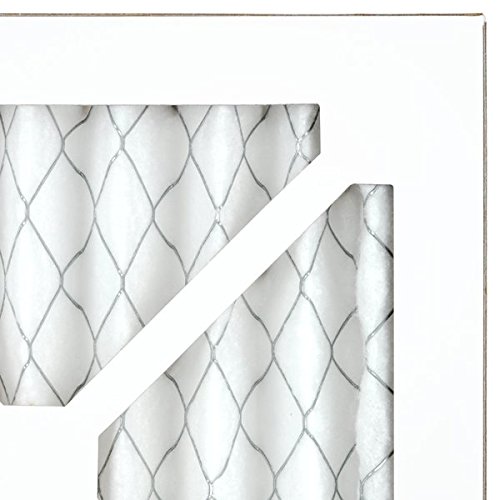 Optimal for Health Protection - AiRx HEALTH Air Filters