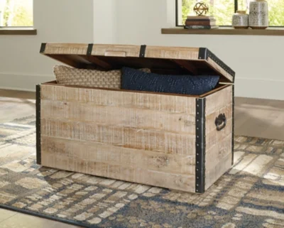 Signature Design by Ashley Casual Dartland Storage Trunk  Whitewash