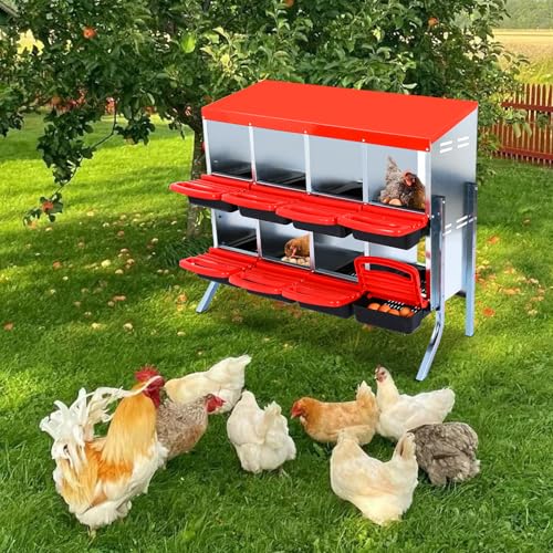 Chicken Nesting Box, 10 Hole 2 Layer Hen Nest Box with Legs, Roll Away Eggs Laying Boxes,Cleanable Pull Out Hen Roosting Boxes