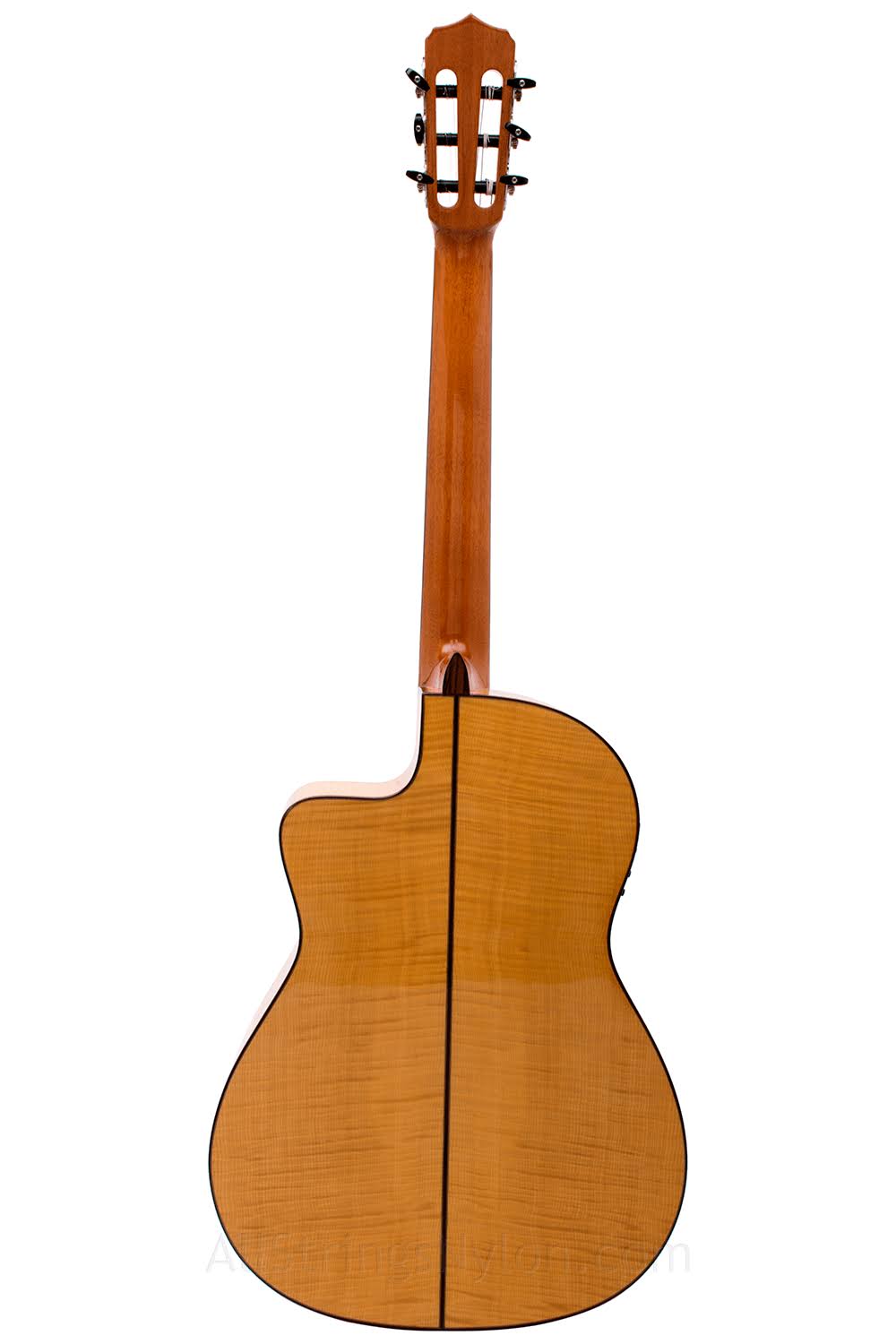 Cordoba Fusion 14 Maple Acoustic Electric Nylon String Classical Guitar