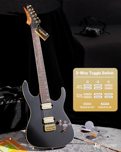 Leo Jaymz Electric Guitar Monsoon Series,Reverse Headstock,Mahogany Body,Roasted Maple Neck,Rosewood Fretboard,Locking Tuners,Rounded End Frets,AlnicoV Pickups,Fixed Bridge (Blue Flame)
