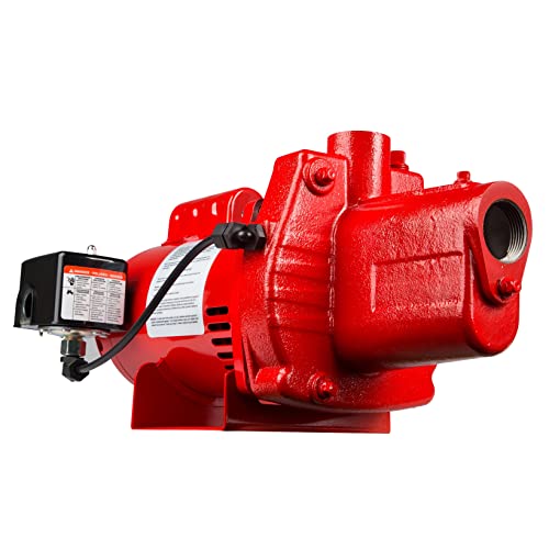 Red Lion RJS-50-PREM Premium Cast Iron Shallow Well Jet Pump