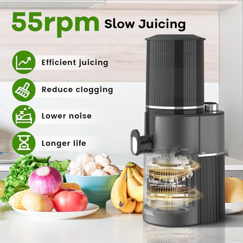Cold Press Juicer, 5.4" Extra Large Feed Chute Fit Whole Fruits & Vegetables, 350W Professional Slow Masticating Juicer Machines, Easy to Clean