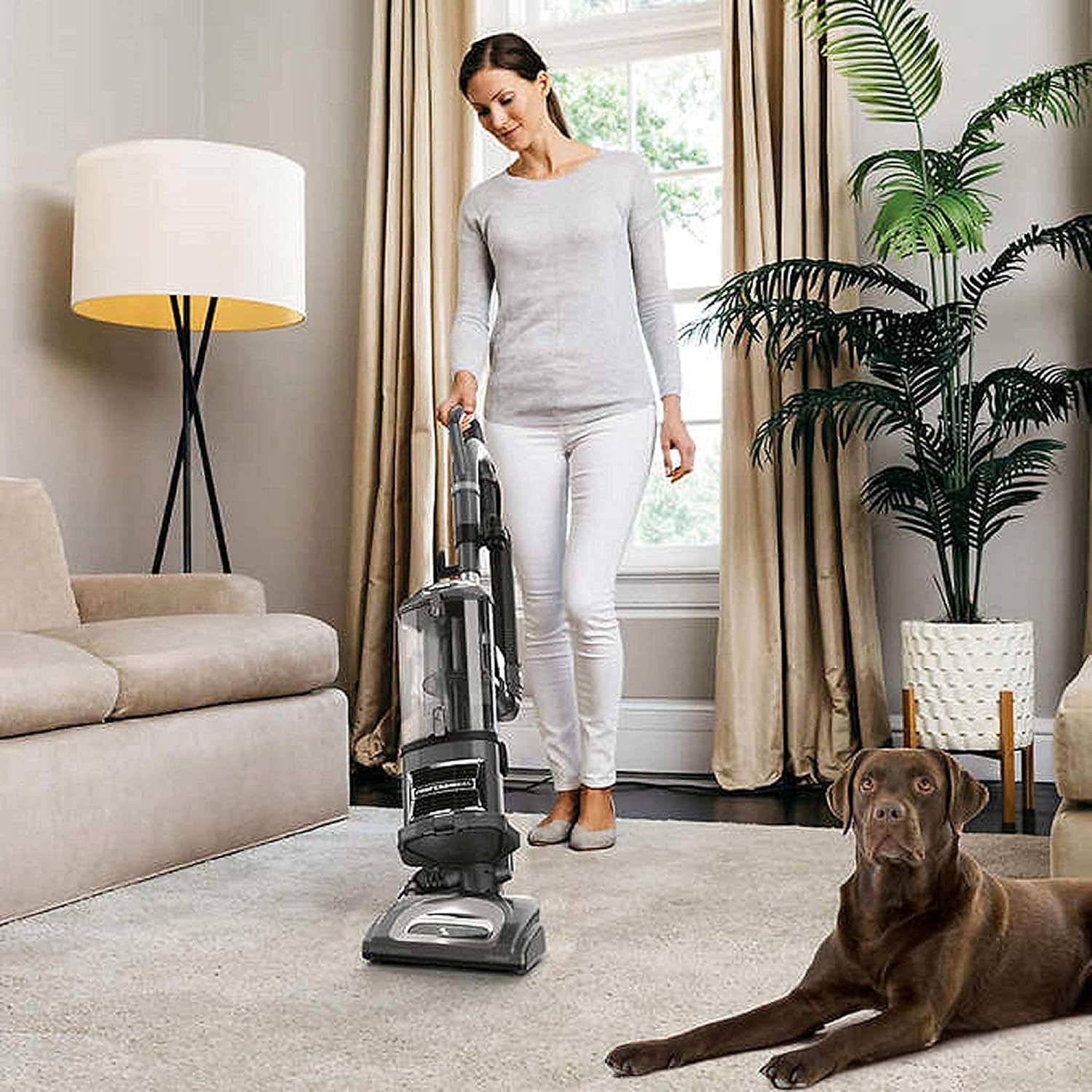 Shark Navigator Professional Upright Corded Bagless Vacuum for Carpet and Hard Floor with Lift-Away Hand Vacuum and Anti-Allergy Seal (NV370), White (Renewed)