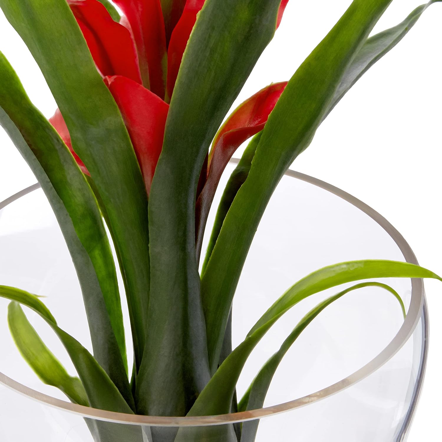 Nearly Natural 1535-RD Tropical Bromeliad in Angled Vase, 8, Red
