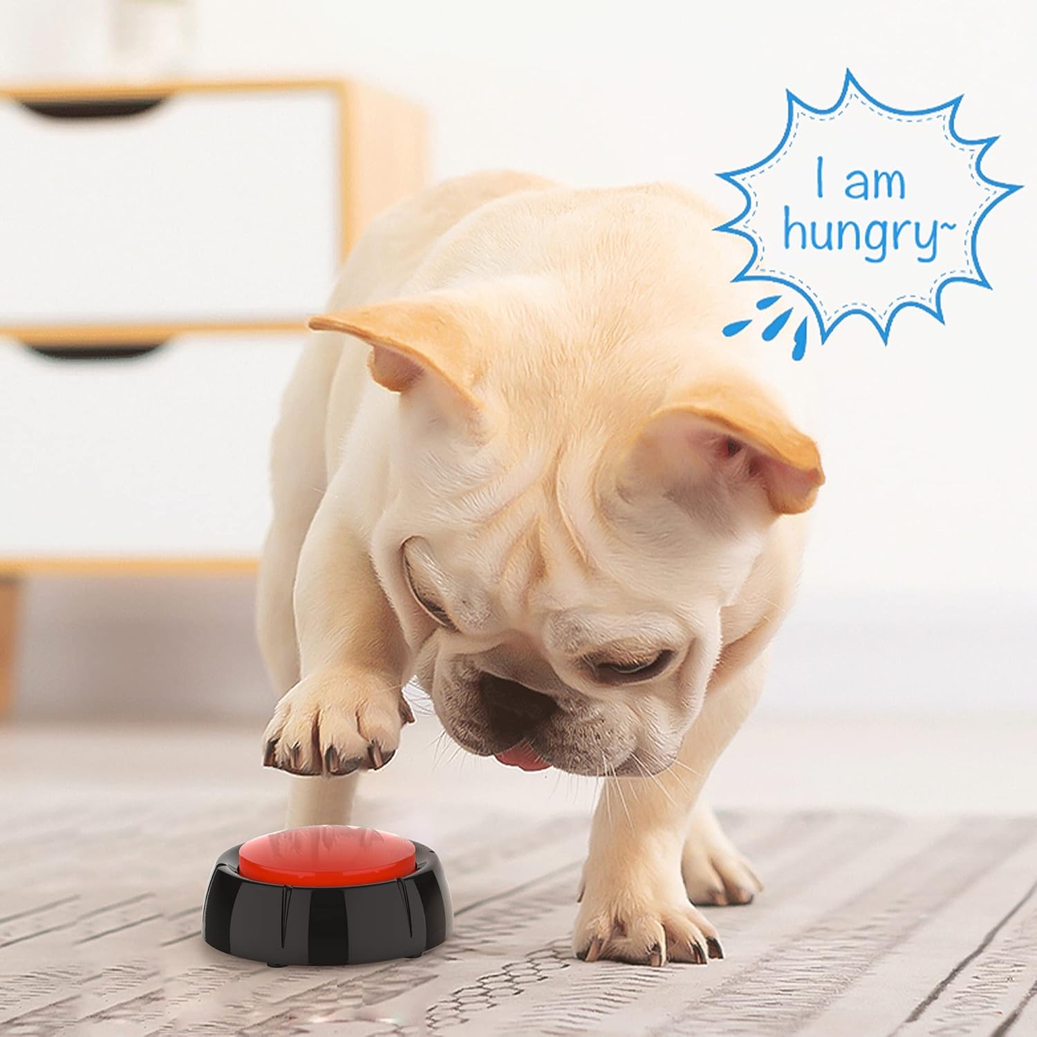 Dog Talking Button Set/Dog Buttons for Communication Voice Recordable Buttons Dog for Words and Answer Buttons Personalized Sound Best Stuff for Dog Tranning of 5 pcs (Battery Included) Pack of 2