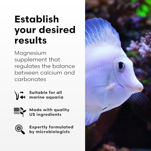 Brightwell Aquatics Magnesion Liquid Salt Water Conditioner - Concentrated Magnesium Supplement for Reef and Marine Aquariums, 33.8 fl oz