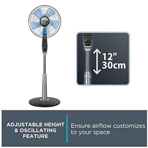 Rowenta Turbo Silence Table and Fan