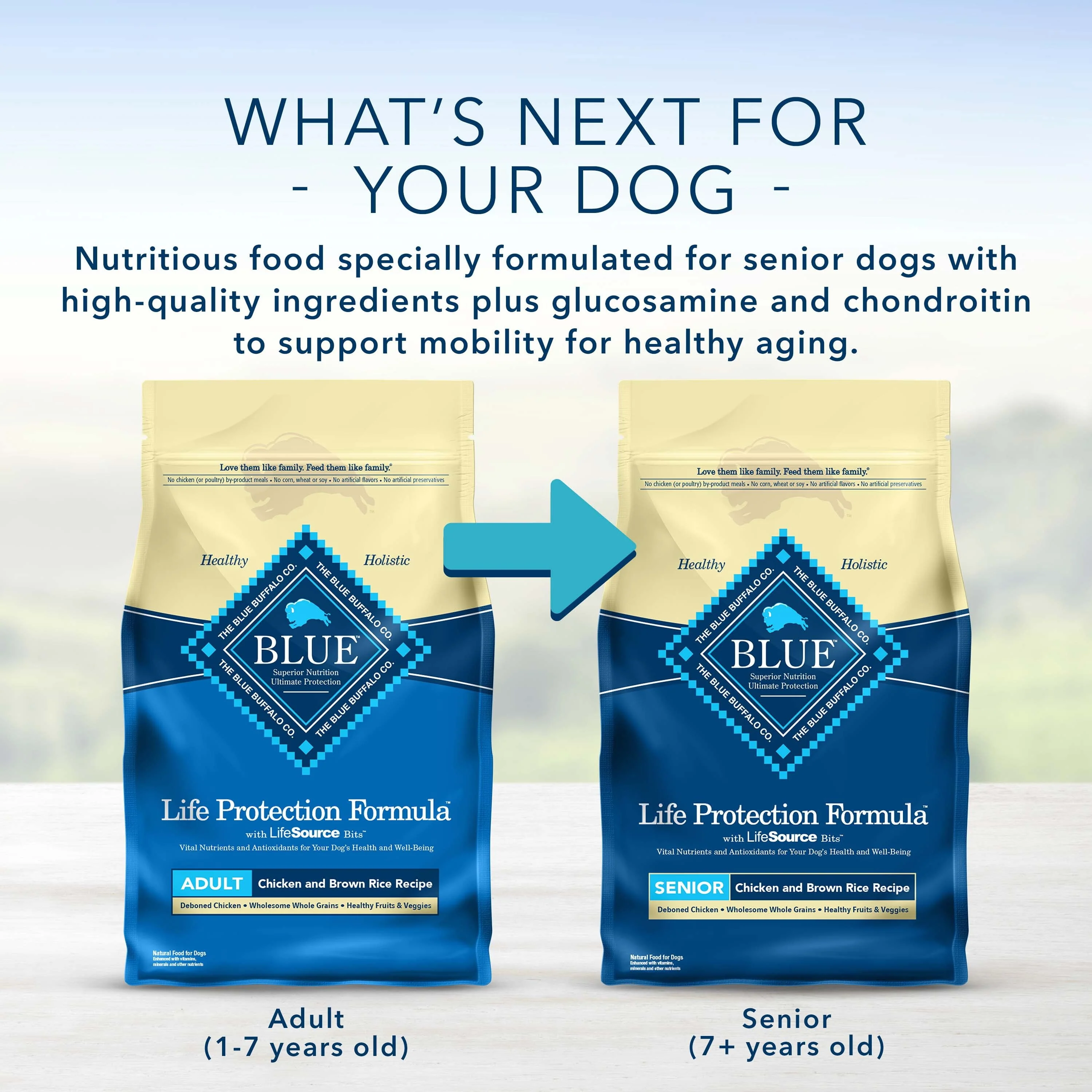 Blue Buffalo Life Protection Formula Chicken and Brown Rice Dry Dog Food for Adult Dogs, Whole Grain, 30 lb. Bag