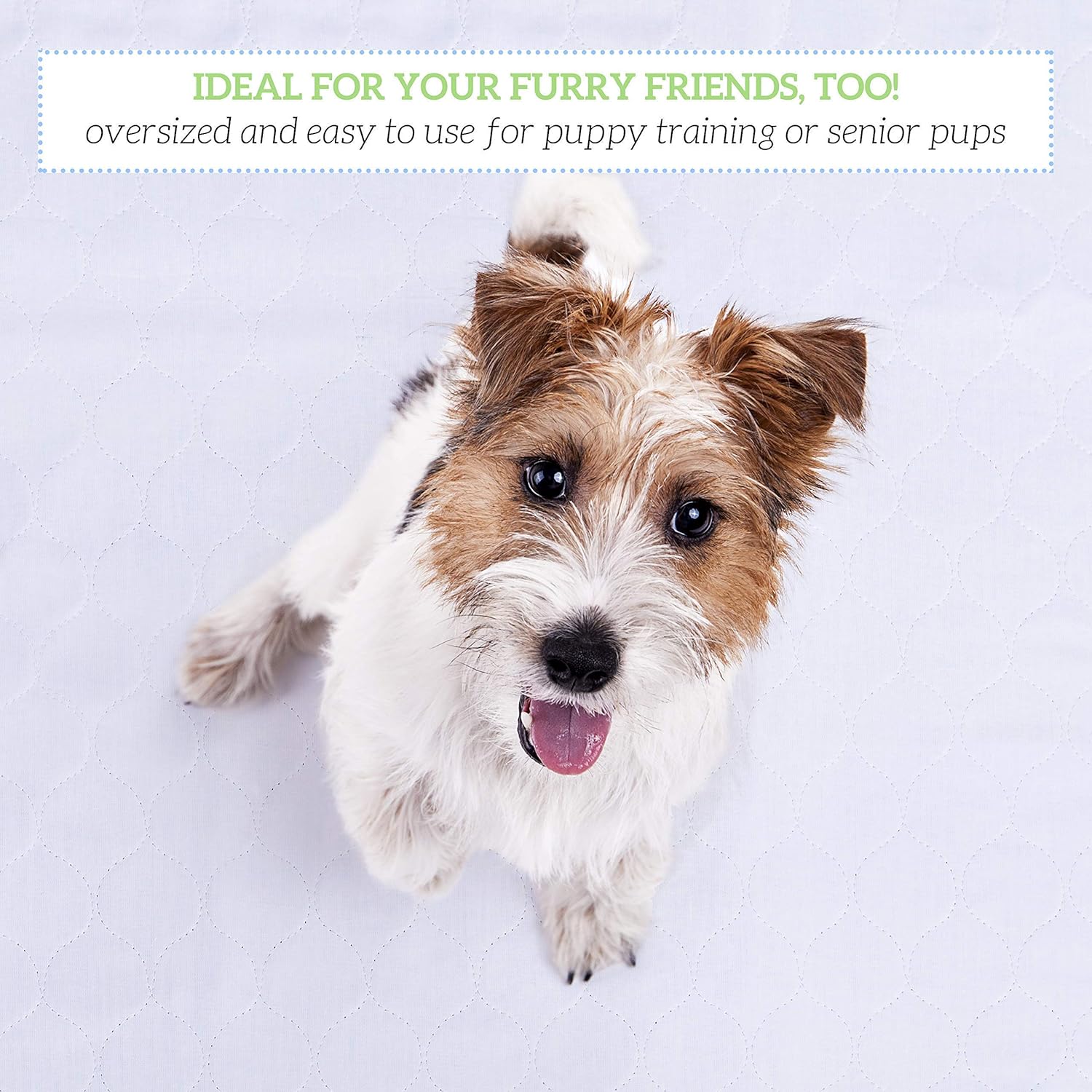 GREEN LIFESTYLE Washable Underpads, Pack - of 6 Large Bed Pads, 30" x 34", for use as Incontinence Bed Pads, Reusable pet Pads, Great for Dogs, Cats, Bunny & Seniors (6 Pack - 30x34)