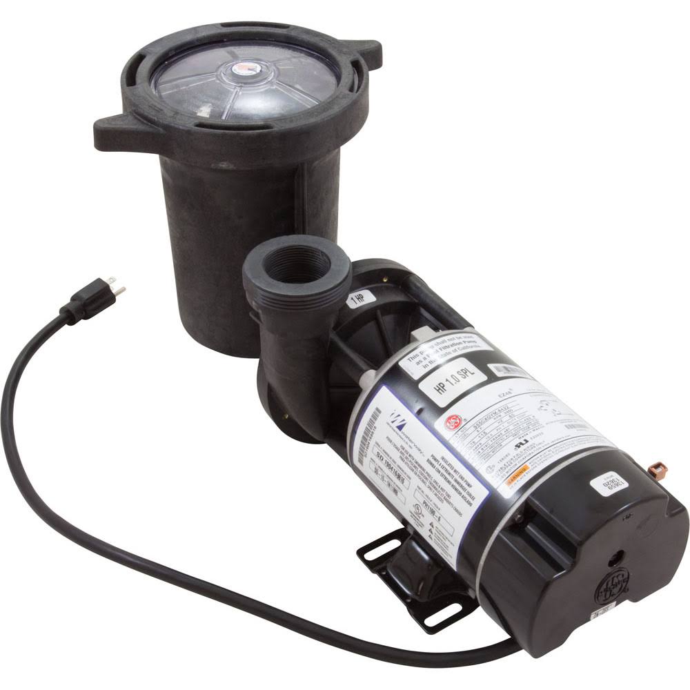 Waterway Above Ground Hi-Flo Pump, 1 HP