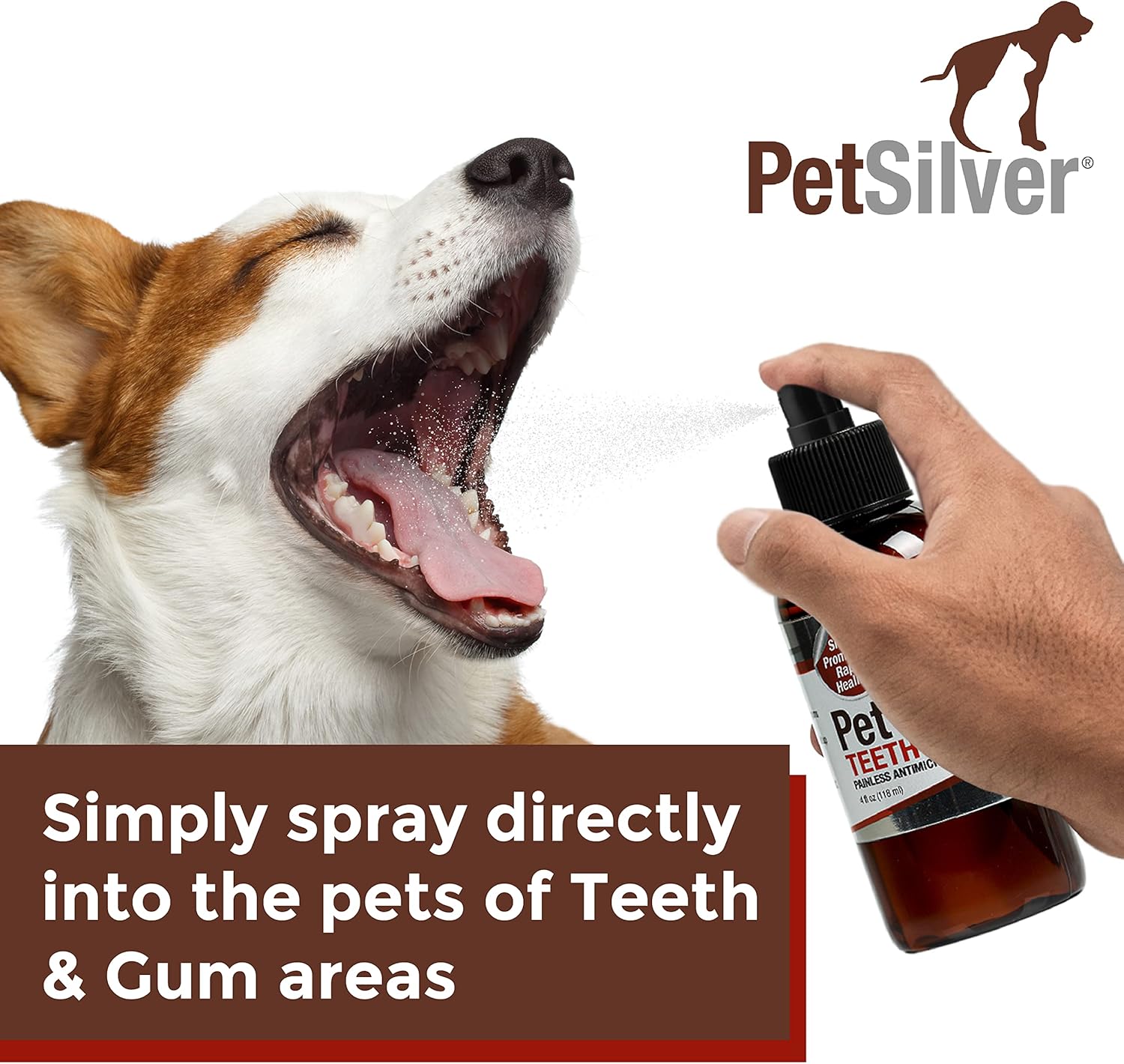 PetSilver Teeth & Gum Spray for Dogs and Cats with Chelated Silver, Made in USA, Vet Formulated, Natural Dental Care Solution, Control Tarter and Plaque, Clean Teeth Without Brushing, 2 Pack Pack of 2