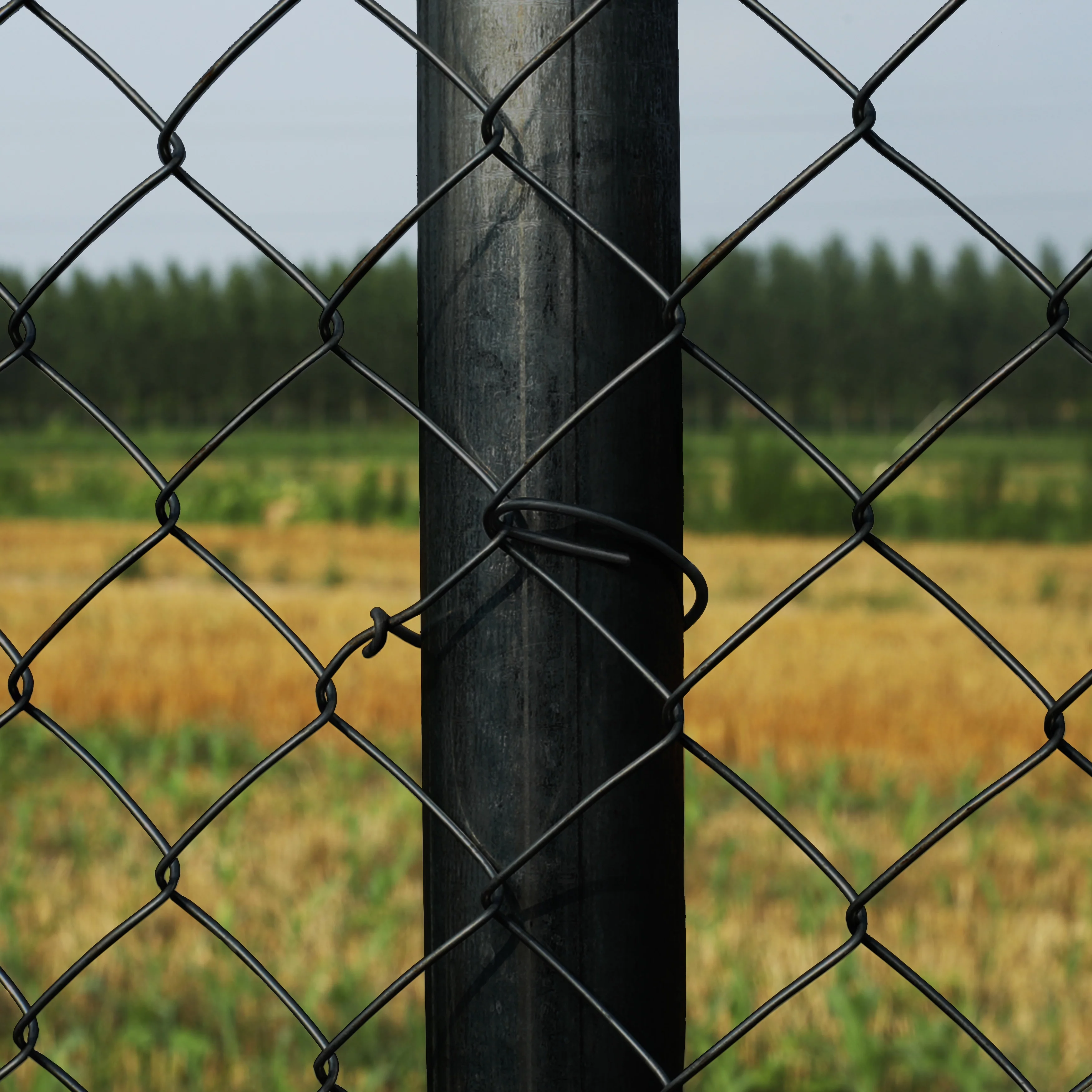 ALEKO KITCLFB9.5G5X50 DIY Chain Link Steel Fence 5X50 ft PVC Coated Black