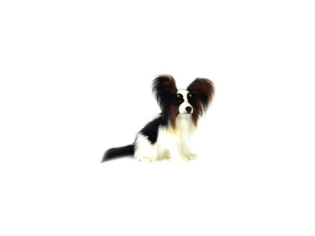 Hansa 16 inch Plush Papillion Dog