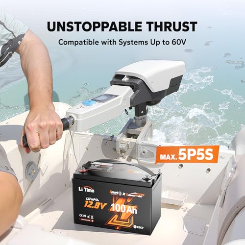 LiTime 12V 100Ah LiFePO4 Battery BCI Group 31 Lithium Battery Built-in 100A BMS, Up to 15000 Deep Cycles, Perfect for RV, Marine, Home Energy Storage