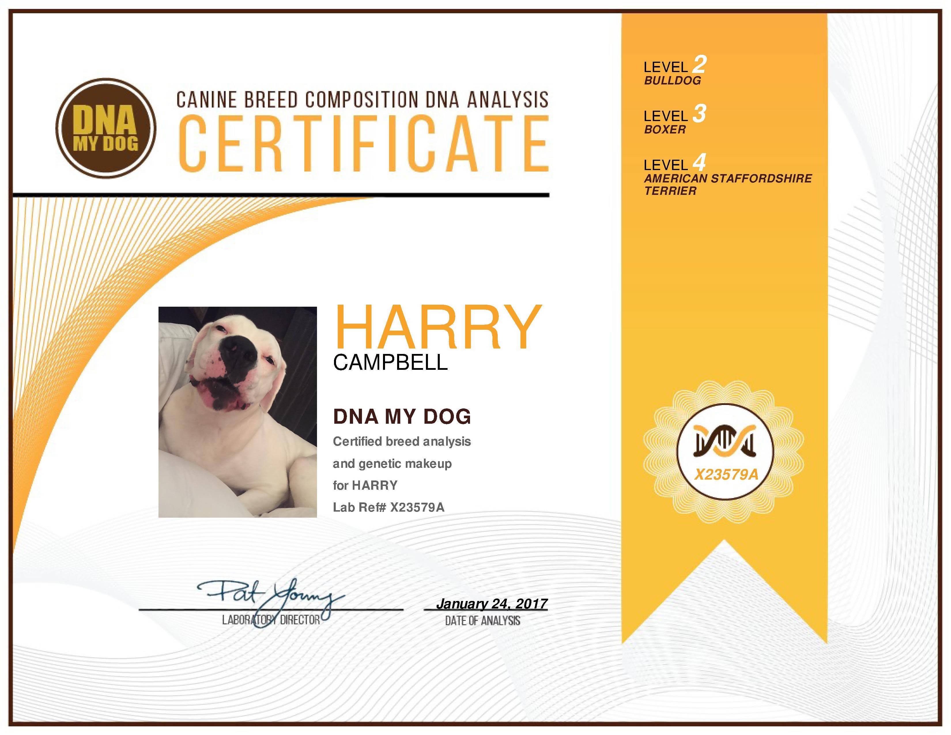 DNA My Dog Breed Identification Test Kit