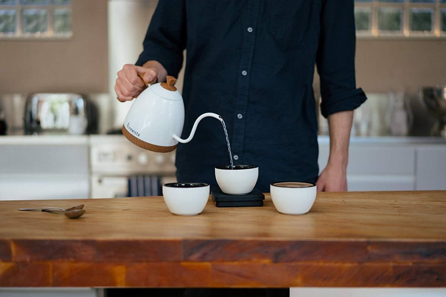 Brewista BA6VKETLPW Artisan Gooseneck Variable Kettle, 600ml, Pearl White