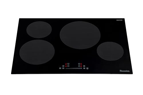 Rangaire Induction Cooktop
