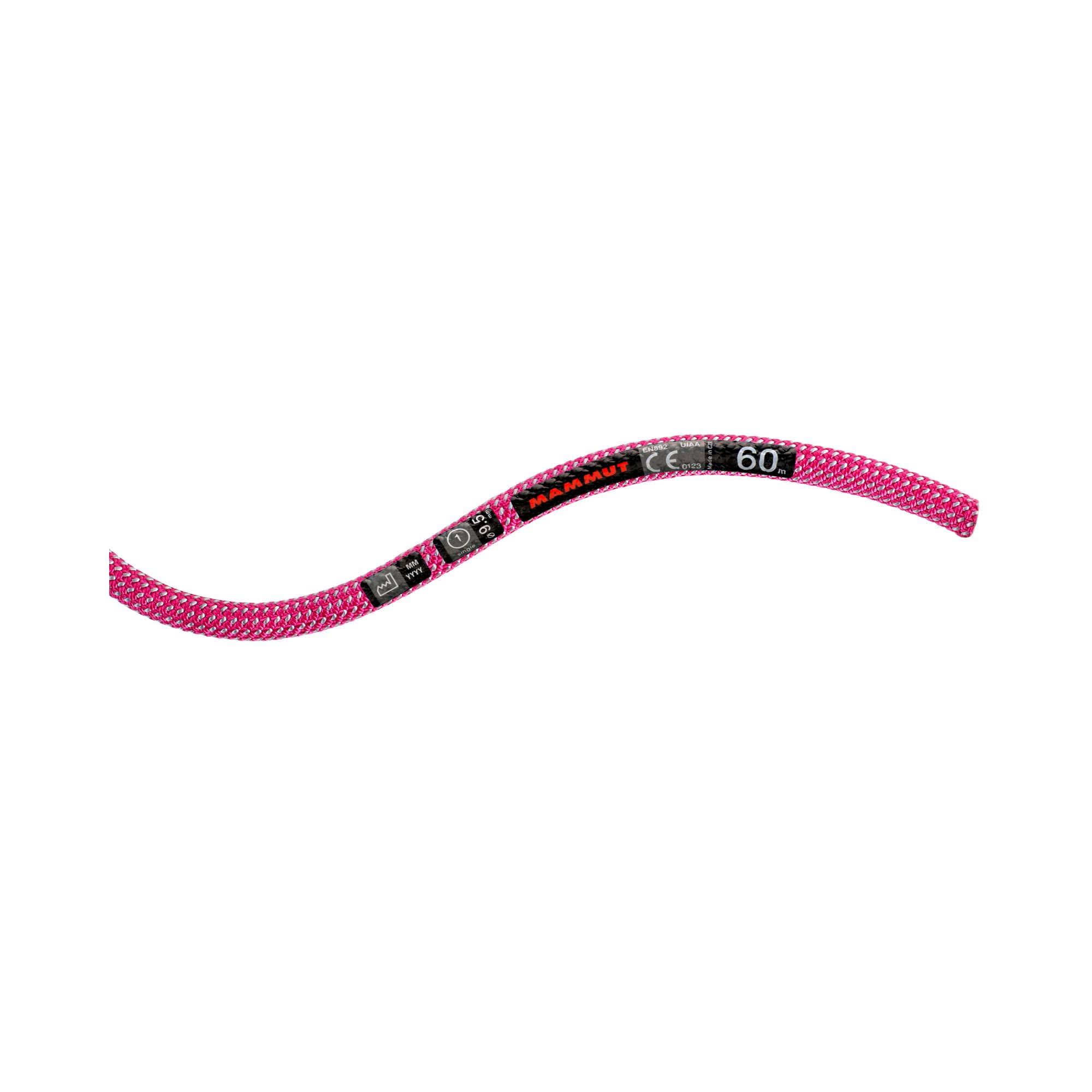Mammut 9.5 Infinity Dry Rope