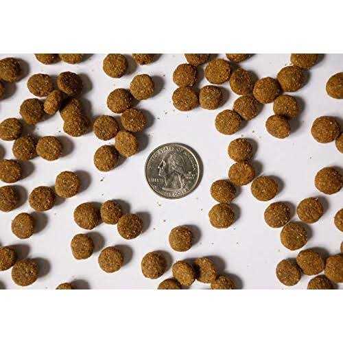 Beaverdam Hi-Energy All Ages Pork and Chicken Dry Dog Food 40 lb - Pet Supplies online store