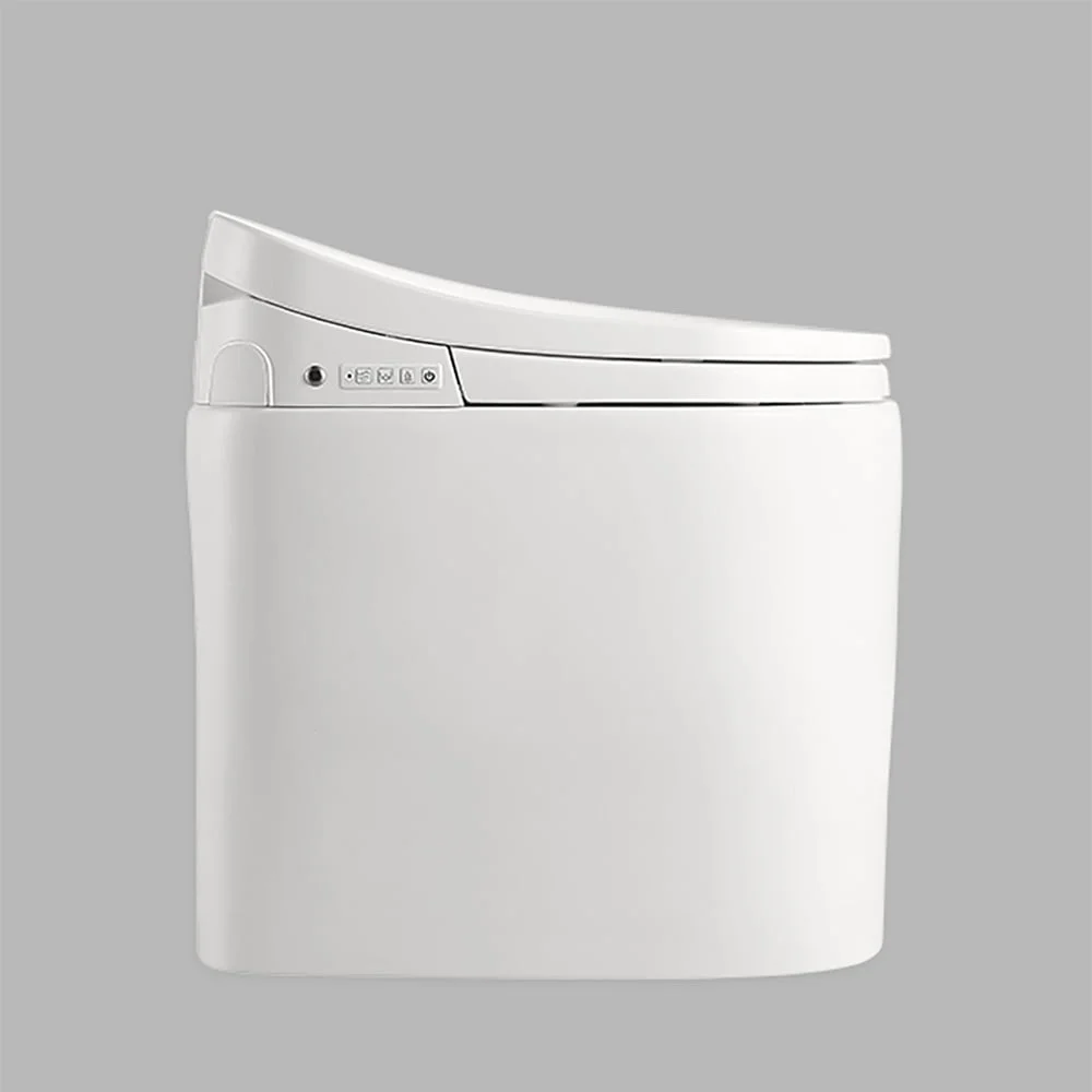 Homary Small Size Smart Toilet One-Piece Elongated Floor Mounted Automatic Toilet Self-Clean