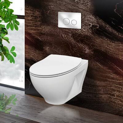 StormOn Dual-Flush Elongated Wall-Mount Toilet (Seat Included)