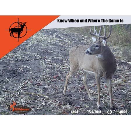 Wildgame Innovations Terra 12 Mp HD Infared Digital Game Camera SD Card u0026 Batteries Included!