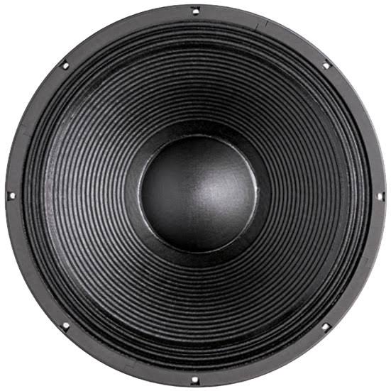 Bu0026C 18NW100-4 18x22 Professional Neodymium Subwoofer 4 Ohm