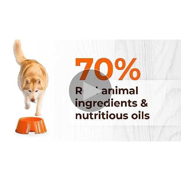 Instinct Original Grain Free Recipe with Real Rabbit Dry Dog Food - Pet Supplies online store