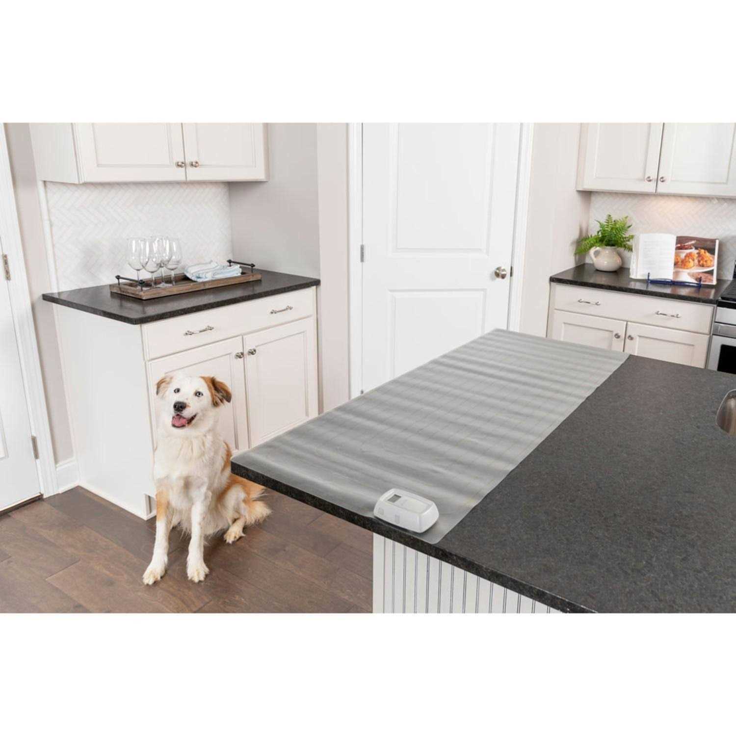 PetSafe ScatMat Indoor Training Mat - Pet Supplies online store