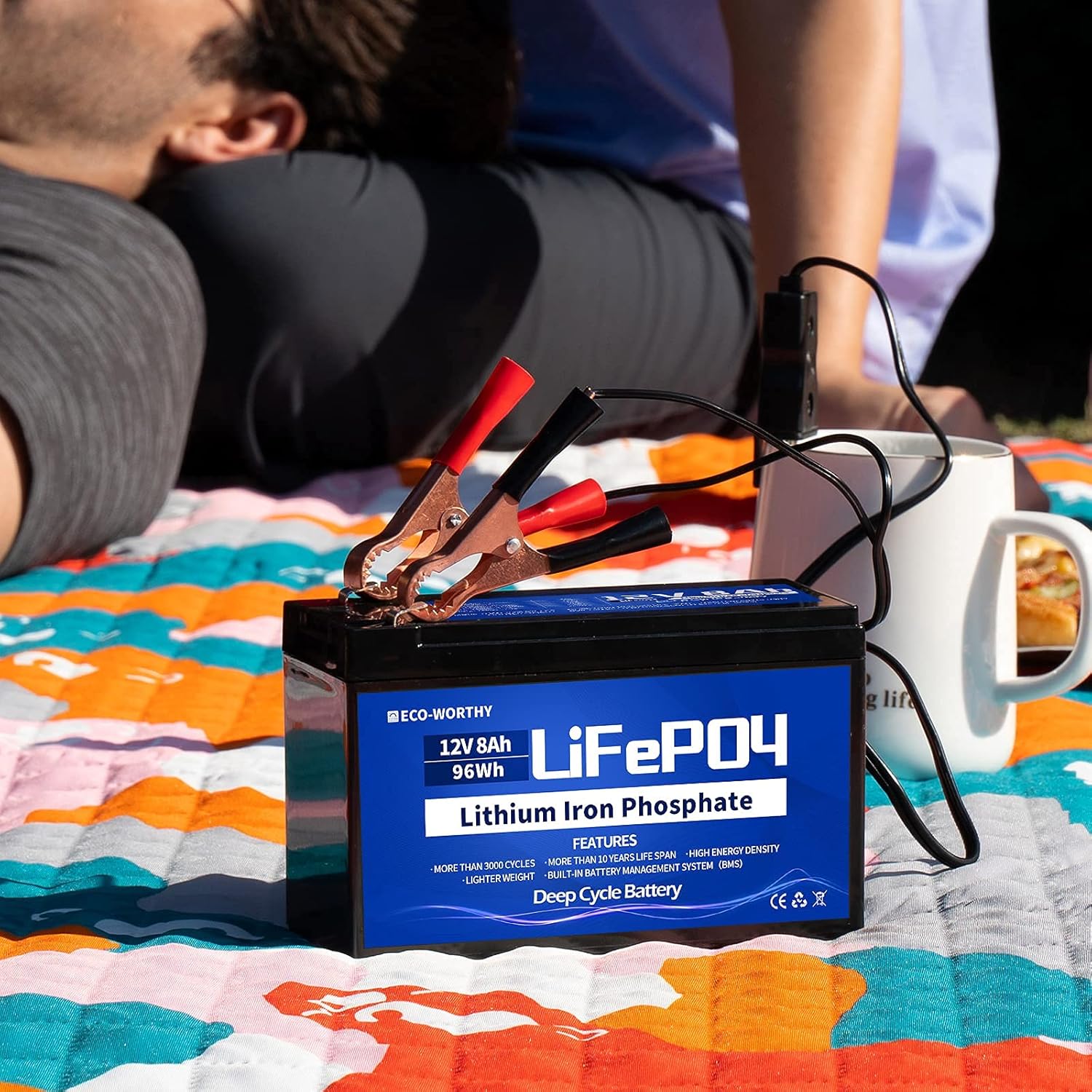 12V 8Ah Rechargeable LiFePO4 Lithium Iron Phosphate Battery with 3000+ Times Deep Cycles and BMS Protection for Fish Finder, Ham Radio, Scooter, Light, Kids Car Pack of 2