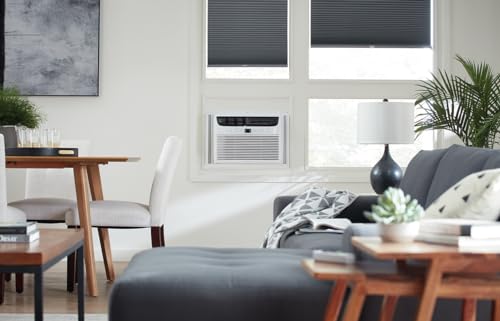 Frigidaire FFRA051WAE Window-Mounted Room Air Conditioner, 5,000 BTU with Temperature Control and Easy-to-Clean Washable Filter, in White