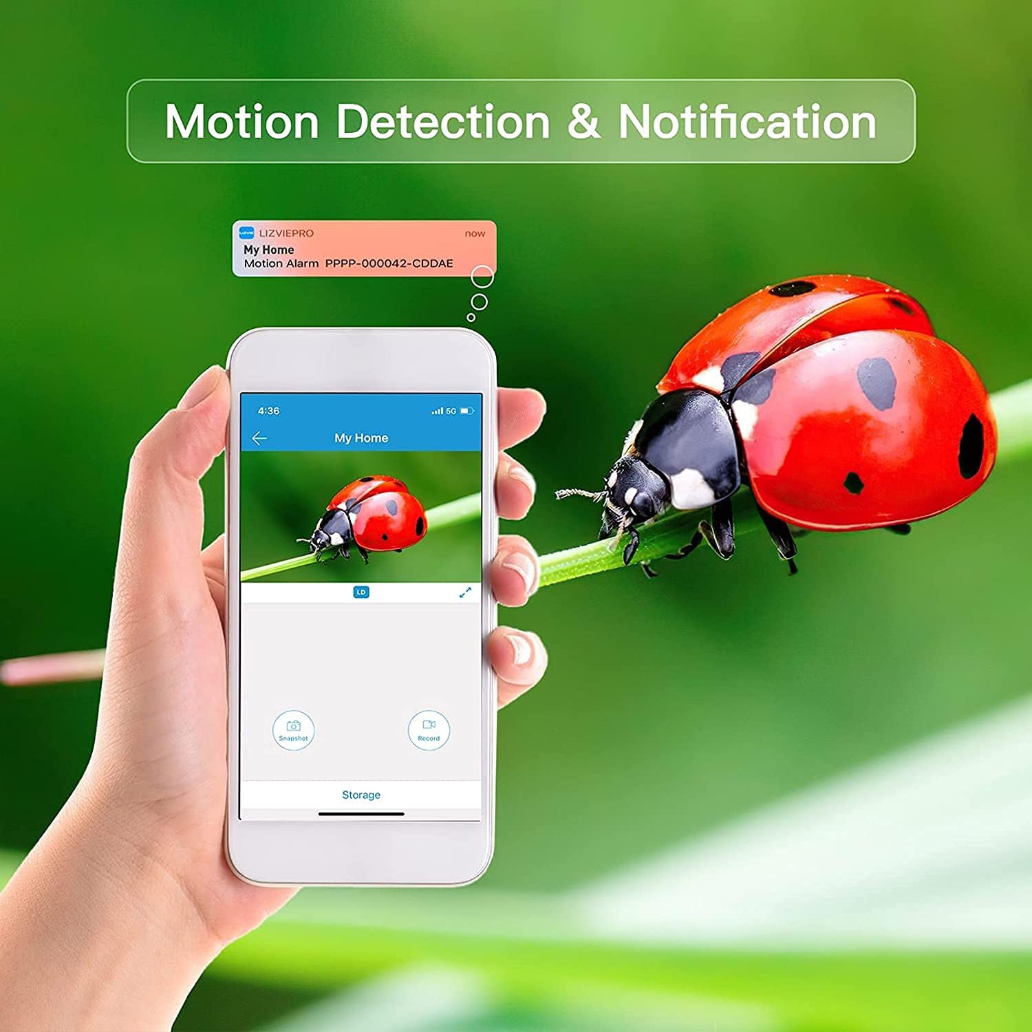 Lizvie 10000mAh Power Bank, Portable Smart WiFi Camera HD 120 Degree Lens Angle Motion Detection Cam Pack of 2