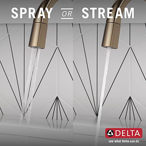 Delta Faucet Monrovia Kitchen Faucet