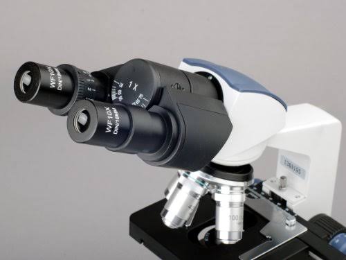 Amscope 40X-2500X LED Digital Binocular Compound Microscope W 3D Stage + 5MP USB Camera