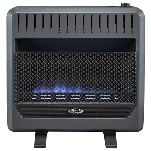 Bluegrass Living Natural Gas Vent Free Blue Flame Gas Space Heater with Blower and Base Feet