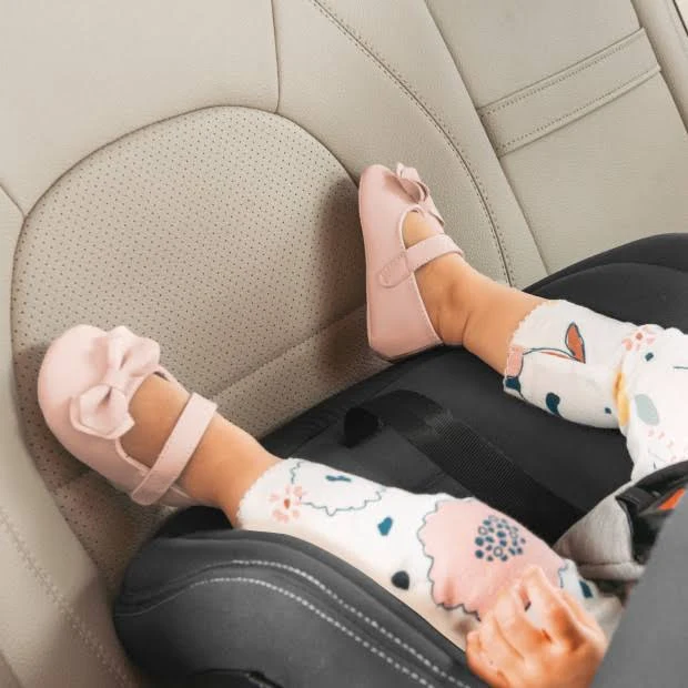 Chicco NextFit Max Cleartex Convertible Car Seat in Cove