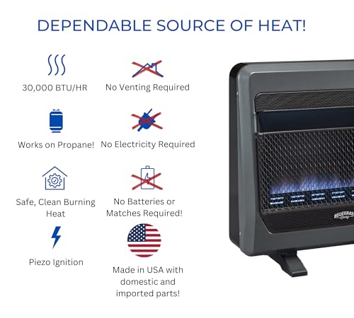 Bluegrass Living Natural Gas Vent Free Blue Flame Gas Space Heater with Blower and Base Feet