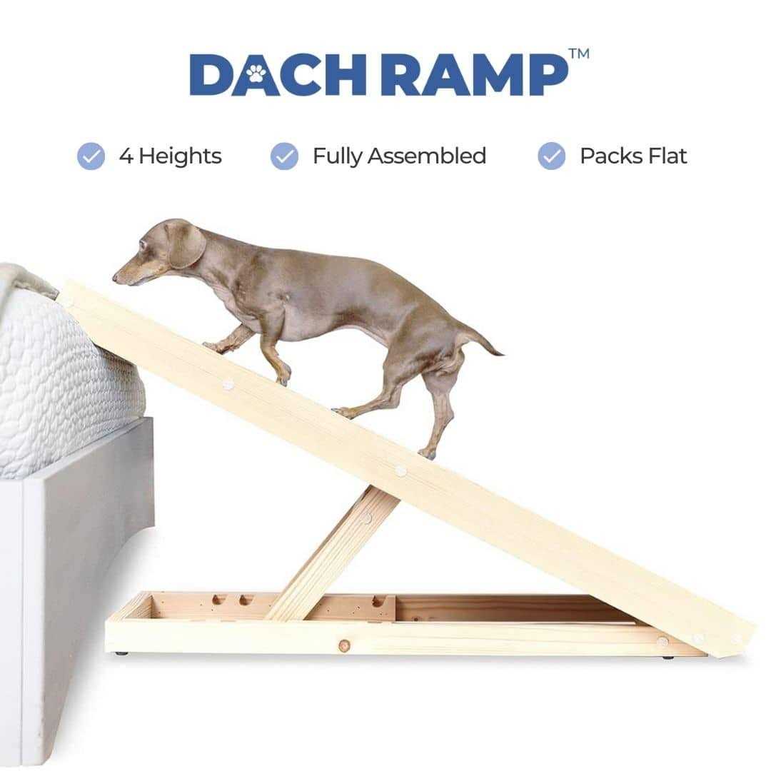 Dachramp The Original Dachshund Ramp - Pet Supplies online store