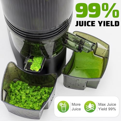 Cold Press Juicer, 5.8" Wide Feed Chute Juice Extractor Machine with 400W, High Juice Yield, Slow Masticating Juicer for Whole Vegetables & Fruits, Metallic Silver