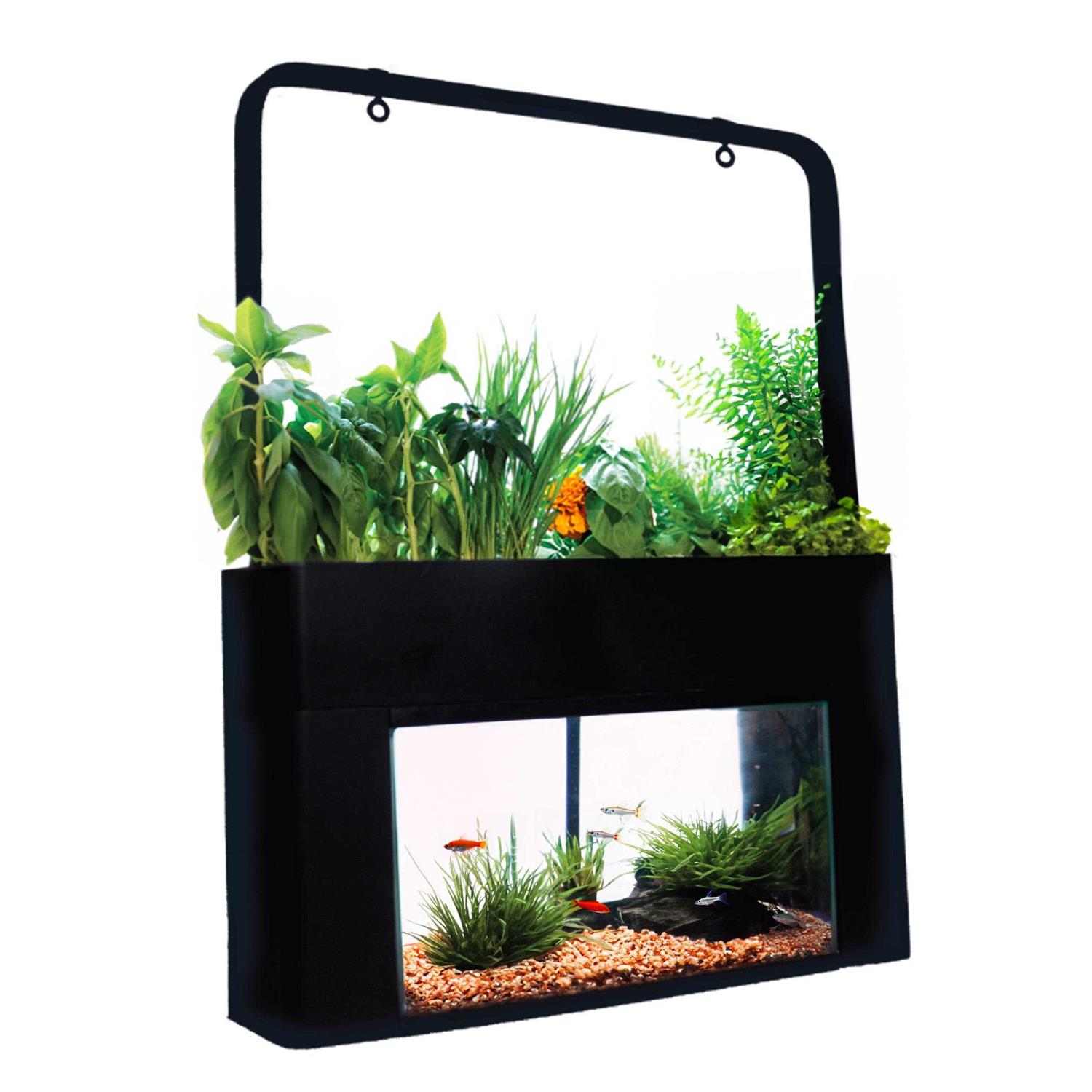 AquaSprouts Garden kit - Pet Supplies online store