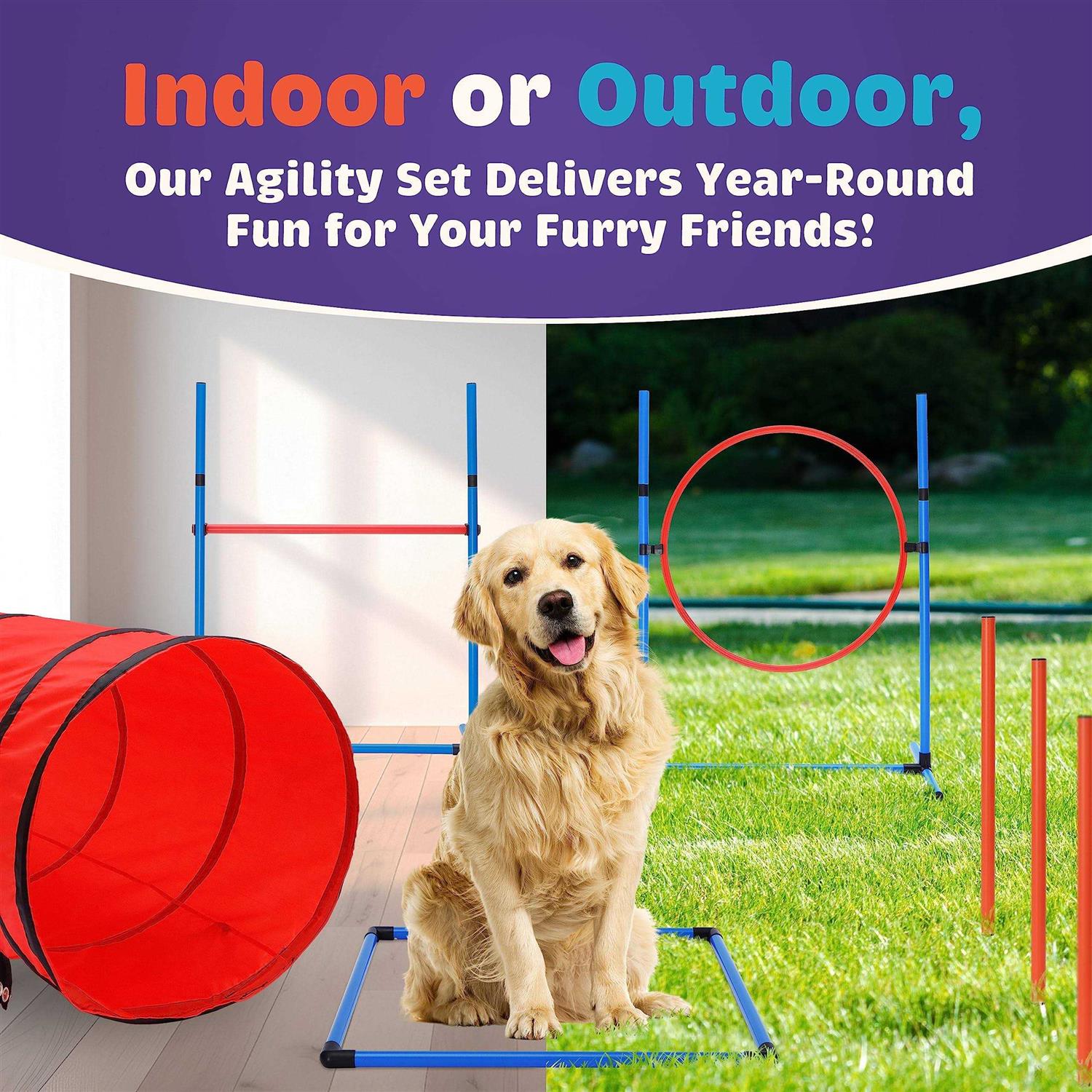 Willow Pet Products 15 Piece Dog Agility Course Backyard Set Dog Agility Training Equipment Set Includes - Pet Supplies online store