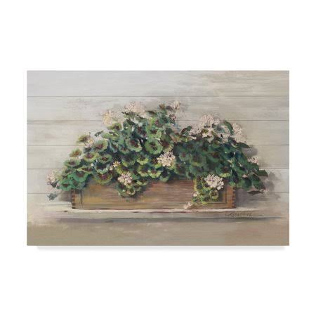 Trademark Fine Art Wap03727-C2232Gg Carol Rowan 'Market Geraniums Crop