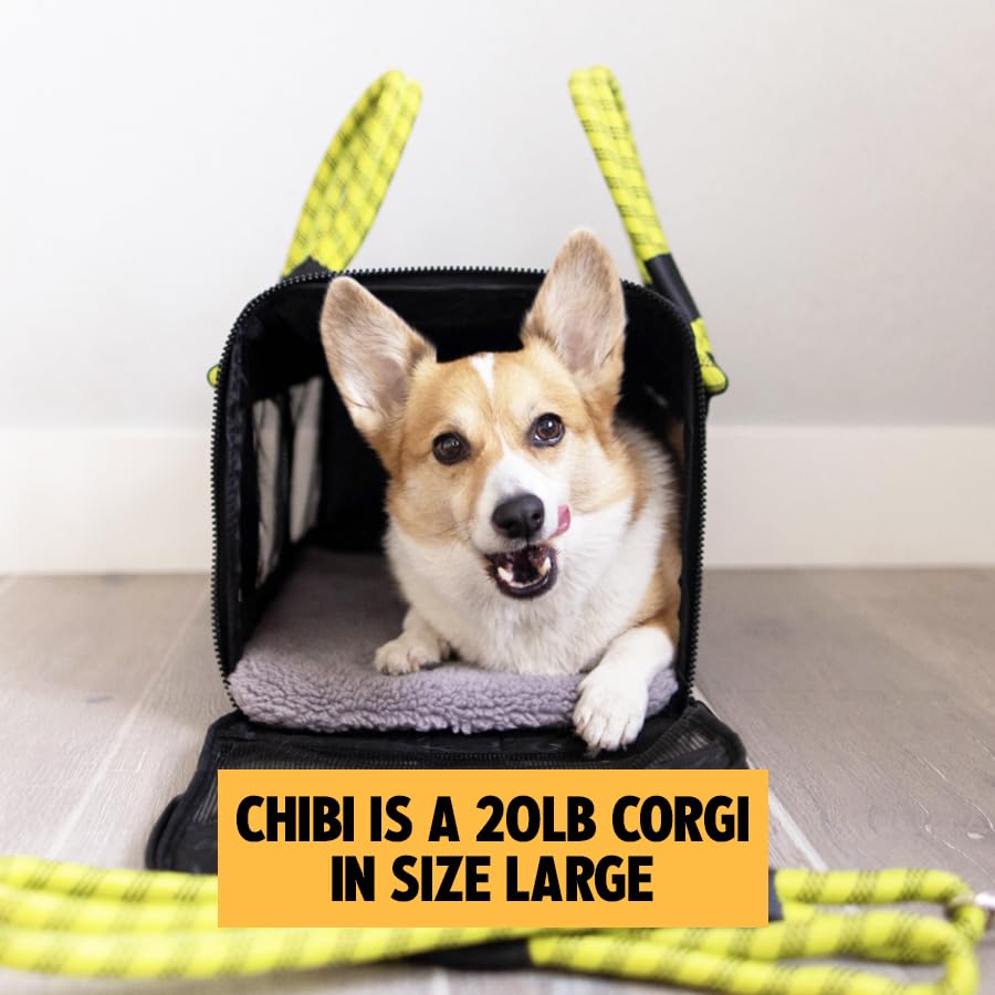 ROVERLUND Airline-Compliant Pet Carrier | Includes Leash