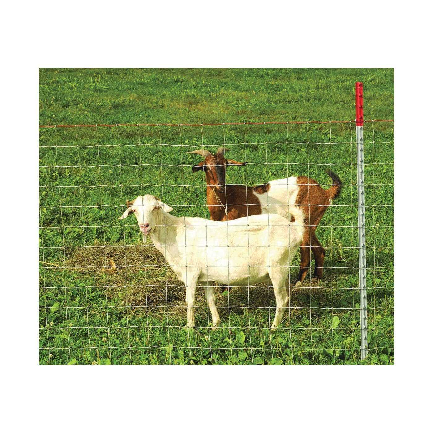 Red Brand Sheep Goat Field Fence - Shop Hardware Tools Online Store