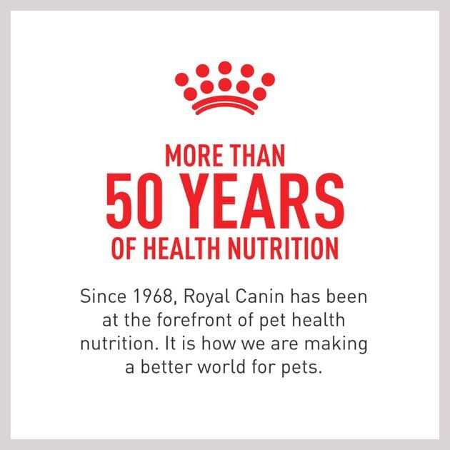 Royal Canin Veterinary Diet Adult Hydrolyzed Protein Loaf Canned Dog Food - Pet Supplies online store