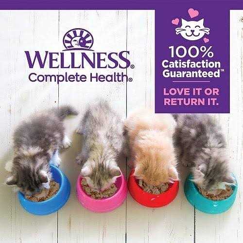 Wellness Complete Health Kitten Whitefish &amp; Tuna Wet Cat Food - Pet Supplies online store