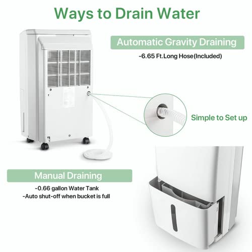 Waykar Energy Star Dehumidifier for Home, Basements and Large Rooms with Drain Hose and Water Tank