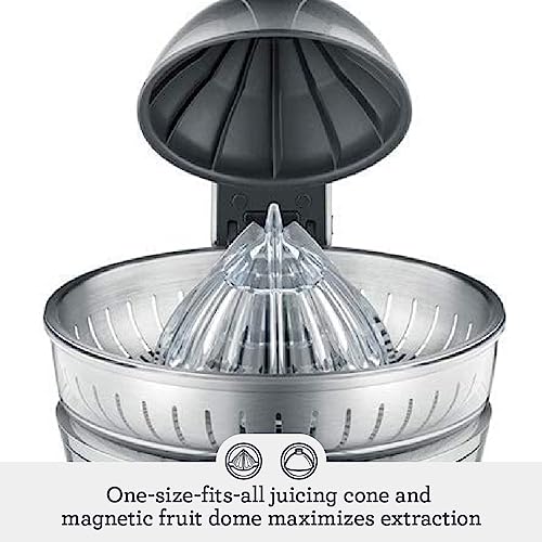 Breville Bcp600 Heavy Grade Polymer Body Citrus Press Motorized Juicer 110 Watts Stainless Steel Corded Electric juicer